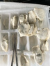 思念手打天下系列猪肉荠菜水饺1.08kg54只 早餐食品蒸饺速冻饺子 实拍图