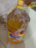 鲁花 食用油 物理压榨 葵花仁油6.18L 新老包装随机发放 实拍图