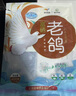 硒全食美富硒汤鸽 520g (260g*2只) 冷冻煲汤滋补 供港鸽子肉 生鲜鸽子汤 实拍图