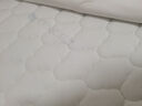 雅兰品牌前十名天然乳胶床垫椰棕垫席梦思弹簧床垫子硬垫  梦寐 梦寐2.0（整网弹簧）21cm厚 1.2x2米 实拍图