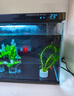 森森（SUNSUN）鱼缸加热棒自动恒温水族箱防爆加热器鱼缸水族用品 三代升级50W 急速加热 适合25L水以下 实拍图