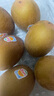 佳沛（zespri）新西兰  阳光金奇异果巨大果22粒原箱 单果重约144-175g 猕猴桃 实拍图
