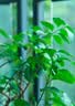 卡色（Kase）【热销已售10000+】85mmF1.4大光圈镜头全画幅人像镜头AF自动对焦适用索尼E尼康Z卡口 【送大光圈魔法镜】索尼E口全画幅 标配 实拍图