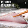 鲜京采三去海鲈鱼3斤/3条 生鲜鱼类 白蕉鲈鱼地标 无冰净重3斤 源头直发 实拍图