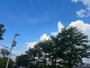 MAXCAM/麦思卡姆 适用于DJI大疆OP3灵眸Osmo Pocket 3口袋相机保护壳机身收纳保护盖防摔硬壳抗压配件 实拍图