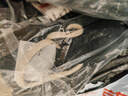 耐克（NIKE）男运动裤 春秋针织束脚休闲裤 舒适休闲 CK6366-010 黑 L 实拍图