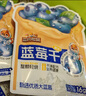 三只松鼠每日蓝莓干256g/16包 无添加水果干果脯小包装儿童老人办公室零食 实拍图