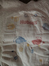 好奇（Huggies）金装成长裤L124片(9-14kg)大号婴儿尿不湿成长裤超薄柔软透气 实拍图