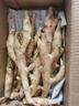 贵州高山小黄姜嫩姜鲜姜醋泡姜红芽姜当季蔬菜先挖非云南黄姜批发 净重2斤 1000g 实拍图