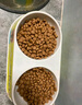 皇家皇家狗粮 成犬狗粮 犬粮 通用犬型 CC 通用粮 ≥12月 8KG 实拍图
