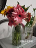 花点时间（Reflower）自然系列尝鲜版每周一花包月鲜切花束结婚圣诞生日礼物女送老婆 【性价比】隔周收-月度4束-每次2束 周六至周日送达（周三17点前下单） 实拍图