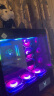 同城装机上门服务电脑DIY电脑系统安装ITX机箱组装走背线RGB灯效一体式水冷风冷神光同步家政服务 水冷装机 含系统安装 实拍图