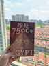 埃及7500年 从古埃及到穆巴拉克时代 埃及通史 世界史 法老时代 罗马行省 阿拉伯征服 21世纪 文明兴衰 帝国征服 文化融合 中东史 非洲史 地中海史 考古史 实拍图
