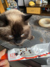 红狗 营养膏120g 猫咪营养膏猫营养膏狗狗猫咪维生素狗狗维生素宠物 实拍图