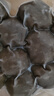 海霸王潮汕牛肉丸200g*5袋2斤肉含量≥82%火锅食材关东煮丸子烧烤麻辣烫 实拍图