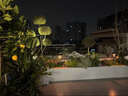 颖朗太阳能草坪灯户外家用庭院别墅景观花园草地院子装饰插地小夜灯 实拍图