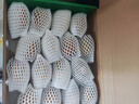 佳沛（zespri）新西兰  阳光金奇异果16粒礼盒经典果单果约 77-103g 水果 猕猴桃 实拍图