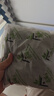 春风茶叶梗10包新房去甲醛新车除味除甲醛汽车内除味家具吸甲醛茶叶包 实拍图