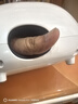 喜来康 手部按摩器小鲸鱼手指掌心关节腱鞘热敷理疗仪保养护手送朋友 实拍图