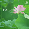 美的（Midea）小方物除湿机/抽湿机 日除湿量12升/天 App智控 家用干衣轻音卧室除湿器 净化升级款CF12BD/N7-DO1 实拍图