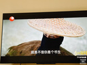 Vidda 海信电视55英寸 R55 2025款 一级能效 144Hz高刷 2+32G 以旧换新国家补贴游戏液晶电视55V1KD-R 实拍图