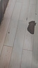 索爱（soaiy）USB电脑麦克风桌面电容麦桌面麦克风电脑台式笔记本视频会议话筒游戏语音直播 实拍图