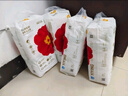 宜婴弱酸红山茶花裤M80片+2片拉拉裤透气小内裤【品牌直供 安心品质】 实拍图