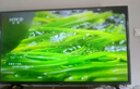 酷开创维P31 32英寸 高清智能网络 1+8G 数字标牌 超薄全面屏教育游戏液晶平板电视机32P31 实拍图