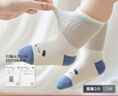 贝比新生婴儿袜子夏季薄款网眼纯棉a类幼儿胎袜儿童袜男女宝宝中筒袜 实拍图