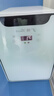 新飞（frestec）车载冰箱 12L小冰箱 迷你母乳冰箱小型家用宿舍户外家居用品 实拍图
