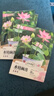 四季混色碗莲入水即活鱼缸庭院盆景易种水生小荷花睡莲绿植 碗莲种子/包约5粒 5包 实拍图