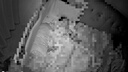 海雀800万摄像头监控器家用360度无死角带夜视4K超高清一键呼叫可对话语音智能Ai室内家庭看护鸿蒙智选 实拍图