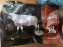 天莱香牛新疆有机原切大块牛腩1斤 谷饲300天 排酸牛肉 生鲜 烧烤食材 实拍图