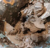 雨虹防水水不漏 速干水泥 堵漏宝快速堵漏 地漏安装 管根堵漏 2KG 实拍图