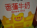伊利味可滋 香蕉牛奶整箱240ml*12盒 包装随机（生牛乳制作）礼盒装 实拍图