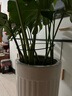 九千谷植物支撑架园艺花架阳台花园绣球月季爬藤 半圆20*35CM 3对装6393 实拍图