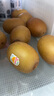 佳沛（zespri）新西兰  阳光金奇异果25-27粒原箱特大果单果约122-146g  猕猴桃 实拍图