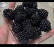 京鲜生 红树莓1盒+黑莓1盒+蓝莓2盒 生鲜水果礼盒 实拍图