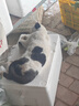 薇诺娜极润保湿水乳2件套爽肤水乳液化妆品面部护肤品套装 实拍图