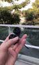 齐论全自动自拍杆跟拍云台360度旋转手持手机拍摄防抖神器直播瑜伽AI人脸智能跟踪三脚架便携式旅游 变焦三合一自拍杆 实拍图