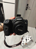 佳能r62\三代相机  二代mark2 打鸟摄影器材全画幅微单vlog相机 机身4K拍摄套机相机 R6二代单机身+RF501.8【限时特惠秒杀】 套餐一【佳能相机专用视频录制卡/摄影三脚架】 实拍图