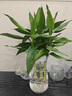 ulanzi优篮子 CO20相机百折布印花版（45cm）P人化妆包魔术万能相机收纳布百贴布微单保护袋便携内胆包 实拍图