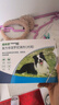 福来恩(FRONTLINE)中型犬去跳蚤蜱虫驱虫药进口滴剂原研药1.34ml*3支装 实拍图