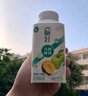 伊利【李现推荐】畅轻低温酸奶生牛乳苹果西梅马蹄爆珠250g*4酸牛奶 实拍图