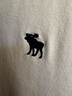ABERCROMBIE & FITCH【舒适透气】男装25夏季新款经典小麋鹿POLO衫T恤KI124-5182 米色 XS (170/84A) 实拍图