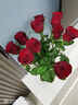 云南鲜花批发品质玫瑰百合水养鲜切花送女友生日礼物源头直发 红玫瑰-10支（不定品种） 【任选2件—不收运費】 实拍图