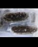 辽参大连有机冷冻海参2斤8-12只非即食京东自营独立包装中秋礼盒装 实拍图
