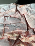 鲜京采 巴西进口原切牛肋肉 2斤 牛肋条 炖煮烧烤 京东自有品牌 实拍图
