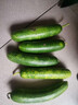 京喜加新鲜无刺水果小黄瓜小青瓜脆甜荷兰脆嫩生吃黄瓜蔬菜 水果黄瓜 1斤 实拍图