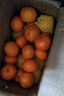 芫曦【现货】云南哀牢山冰糖橙柑橘脐橙新鲜水果应当季送礼品物盒 5斤 单果70-75mm 净重4.5斤 实拍图